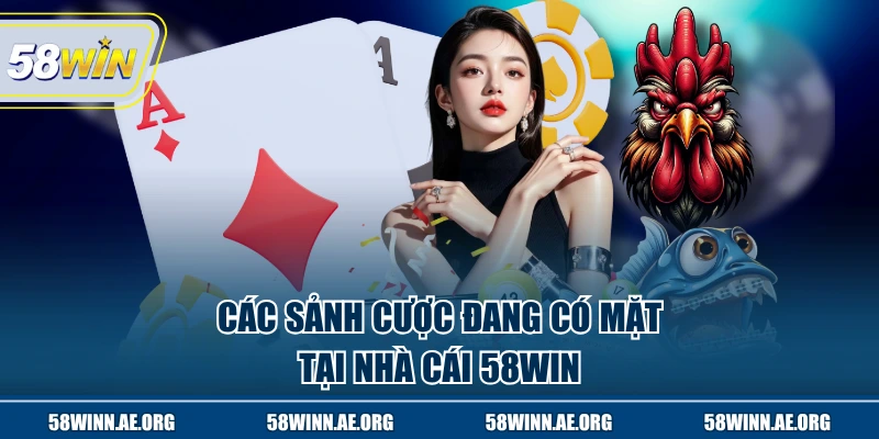 Các sảnh cược có mặt tại 58WIN